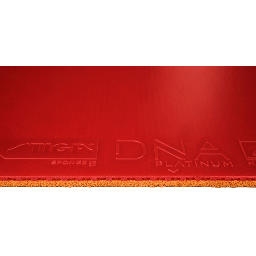 Stiga DNA Platinum- M – Cosco Store India