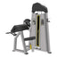 CE 3030 Biceps | Camber Curl