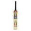 Cricket Bat Blaster