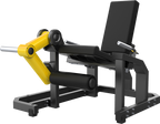 CTG 60D Leg Extension