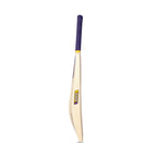 Sixxer Plastic Bat