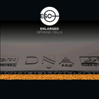 Stiga DNA Pro-M