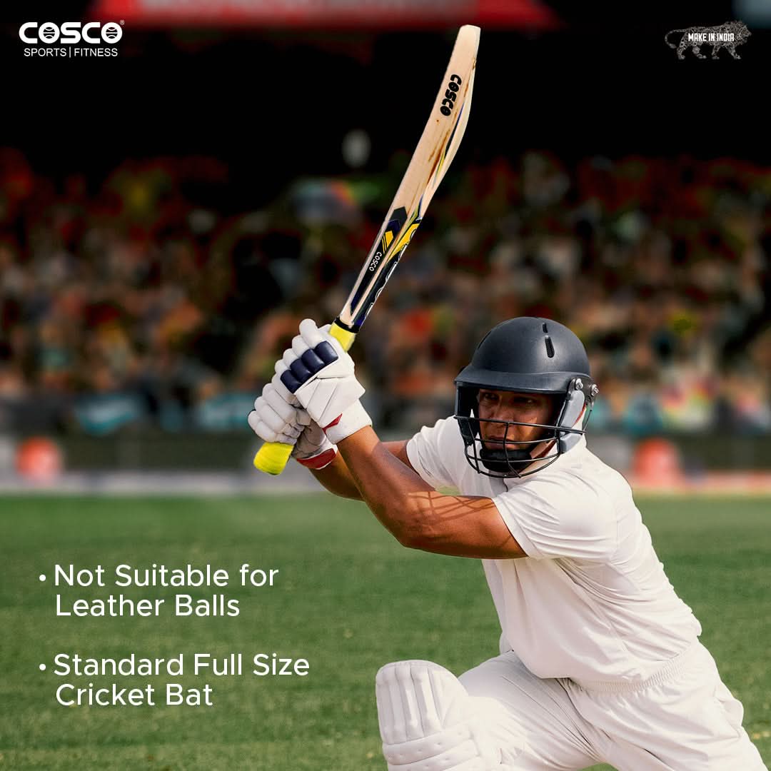 Cricket Bat Striker Secondary image