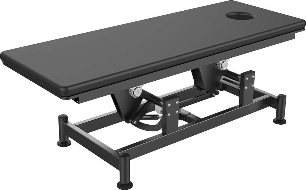 CAM 001 Electric Gym Bed Main image
