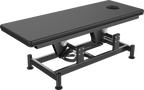 CAM 001 Electric Gym Bed