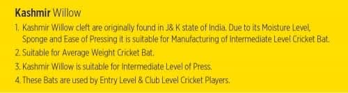 Cricket Bat Thunder
