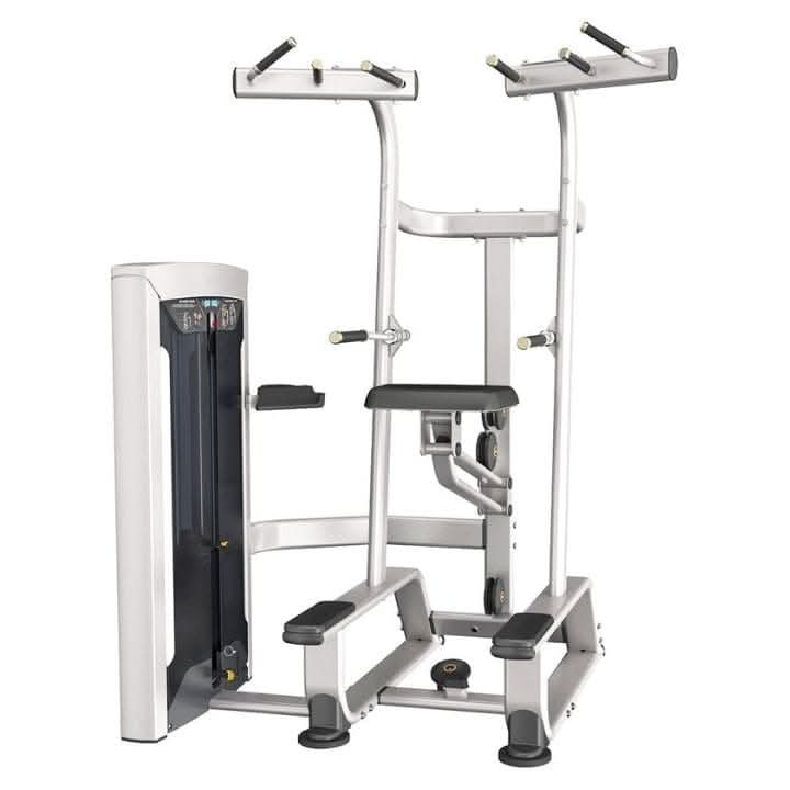 CFE 9720 Wt.Assist.Chin | Dip Main image