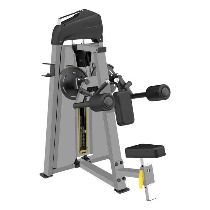 CE 3005 Lateral Raise Main image