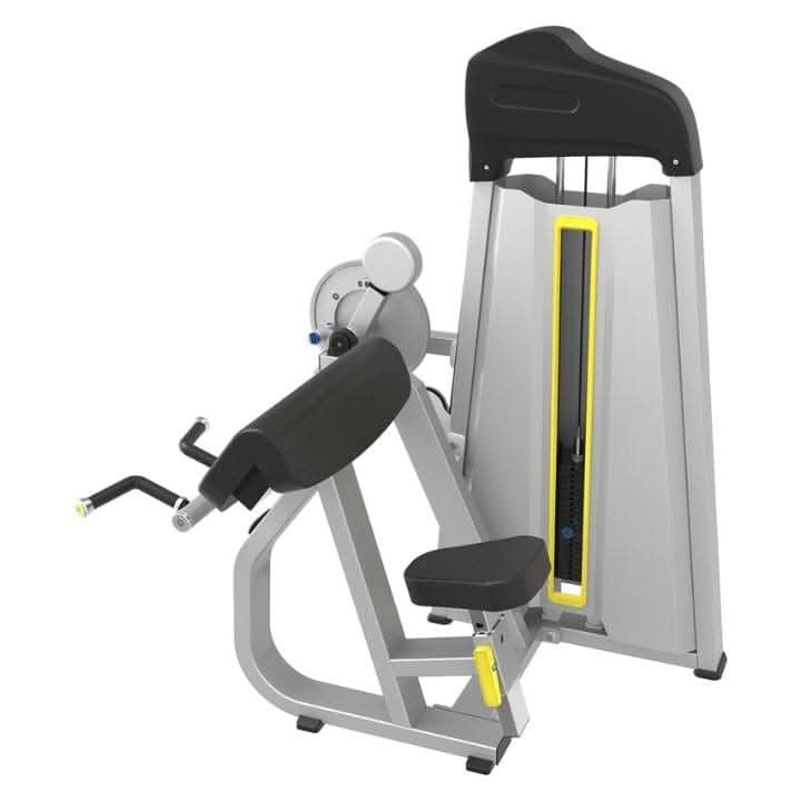CTB 29 Bicep | Tricep Main image
