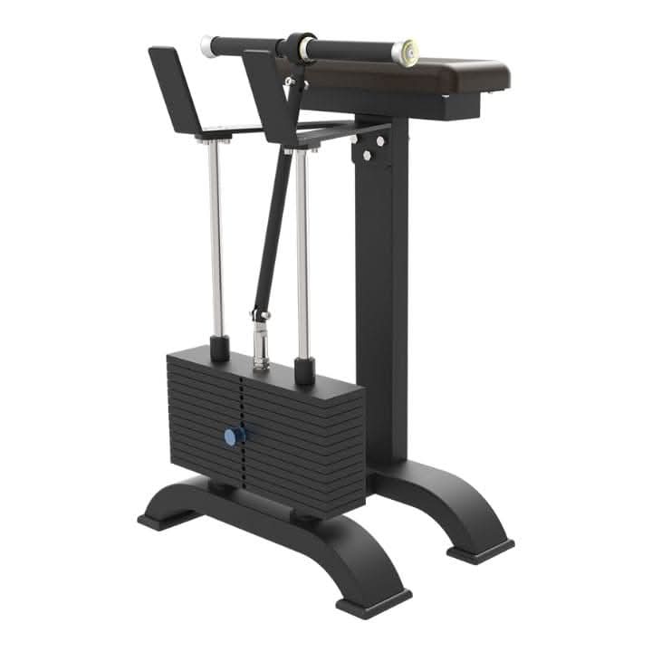 CTB-69 Fore Arm | Wrist Curl Main image
