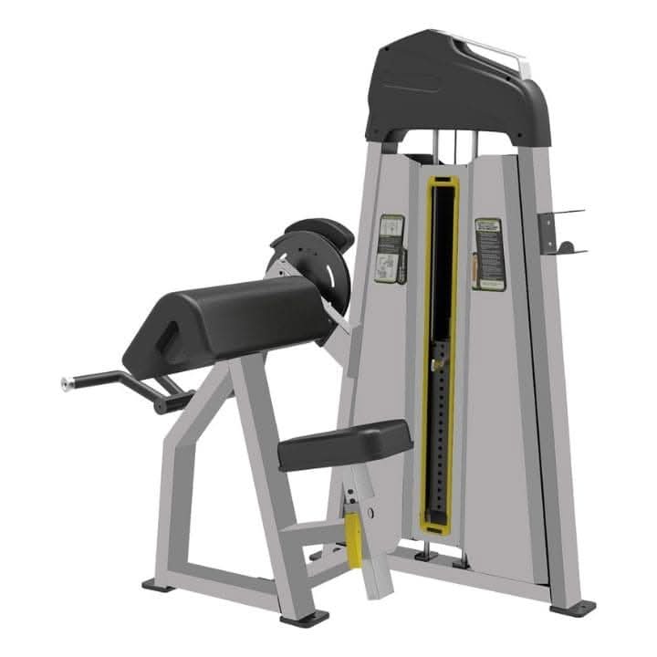 CE 3030 Biceps | Camber Curl Main image