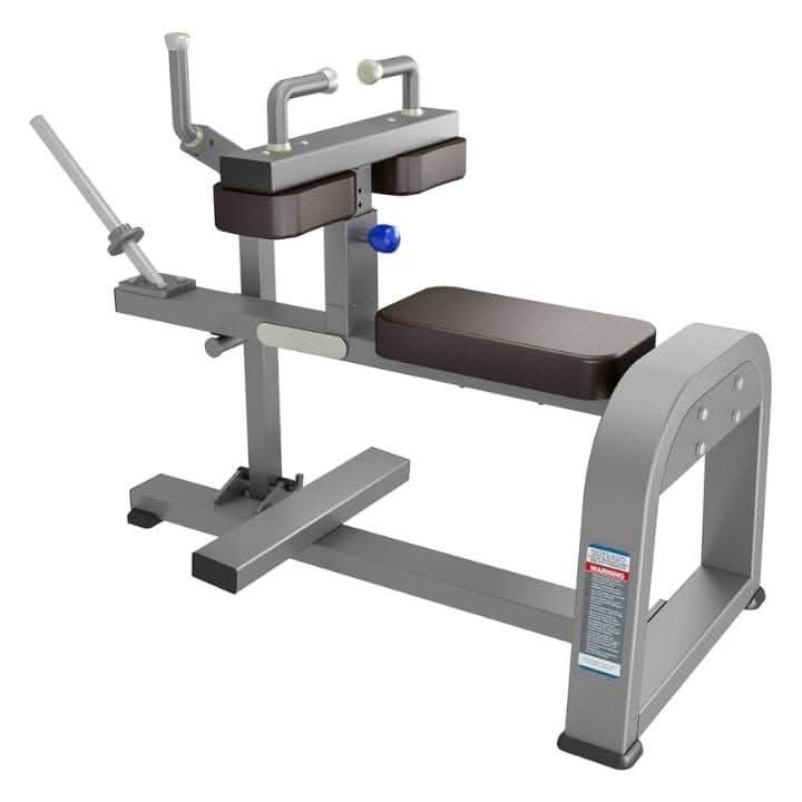 CTB 62 Seated Calf Main image