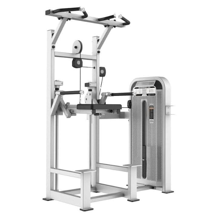 CE 5009 Dip | Chin Assist Main image