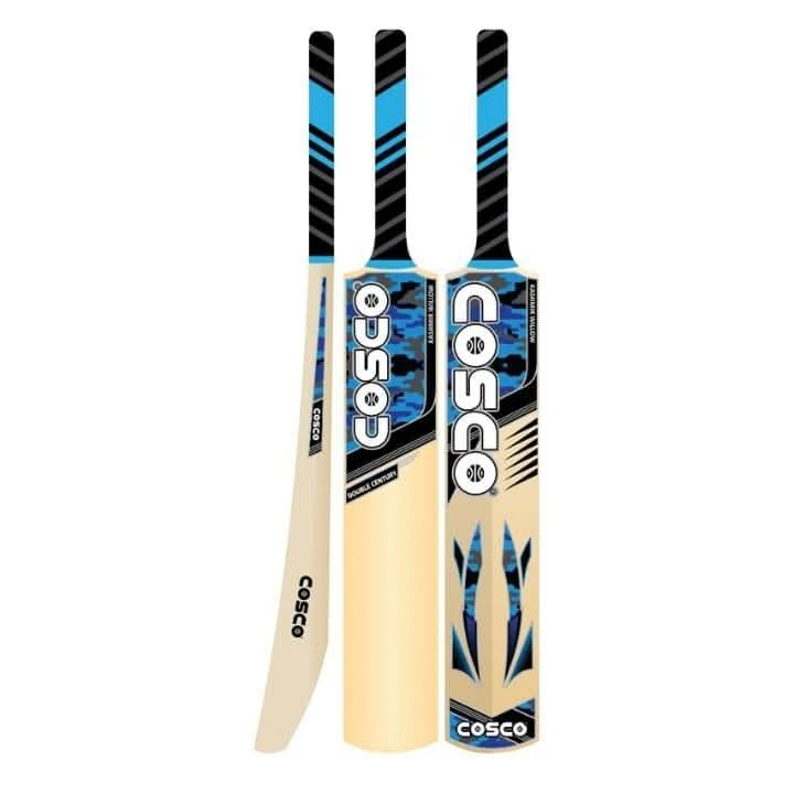 Cricket Bat Double Century