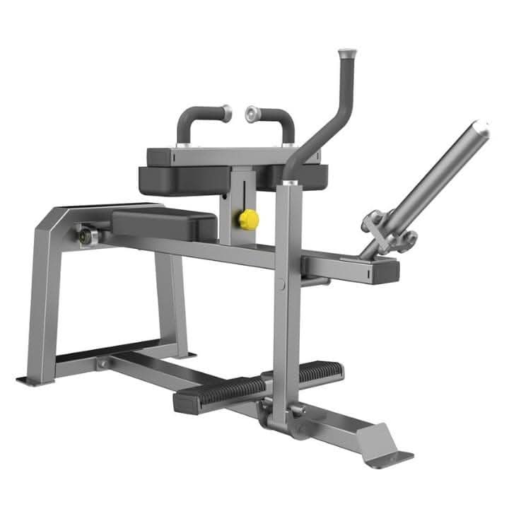 CE 3062 Seated Calf Main image