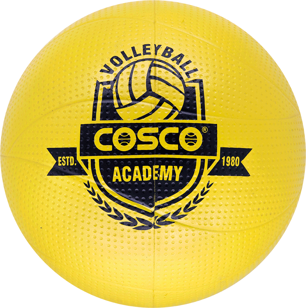 Academy VolleyBall Main image