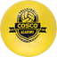 Academy VolleyBall