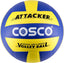Attacker VolleyBall