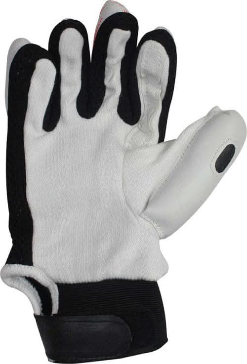 Cricket Set T 20 Size-4